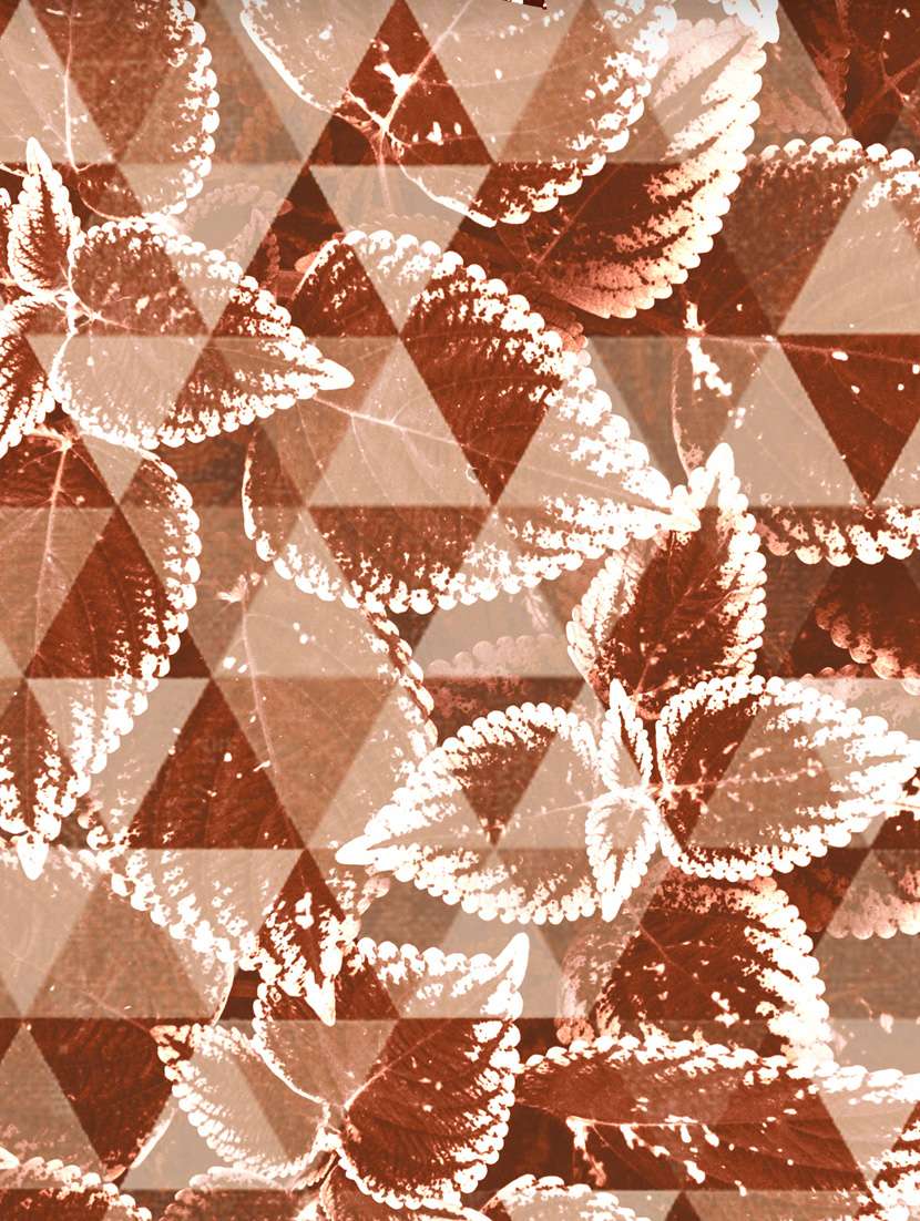 triton double bedshseet set king size cotton maroon colour - 17669359 -  Standard Image - 2