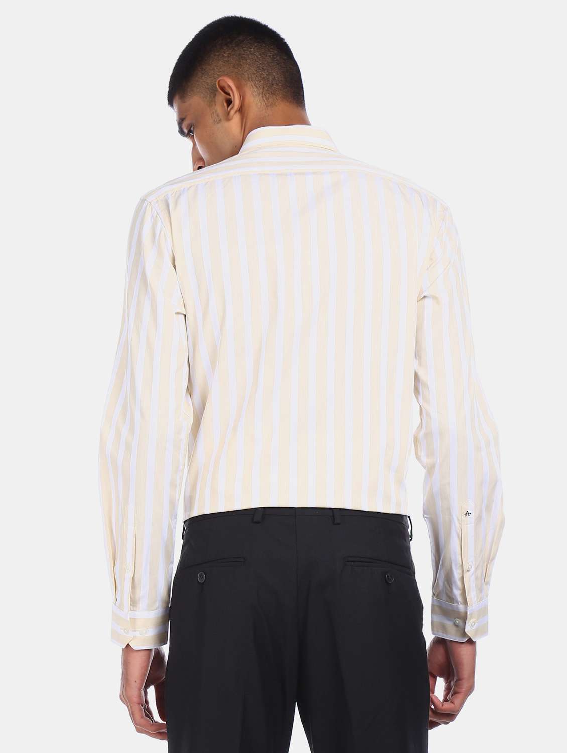 mens stripes formal shirt - 17739314 -  Standard Image - 2