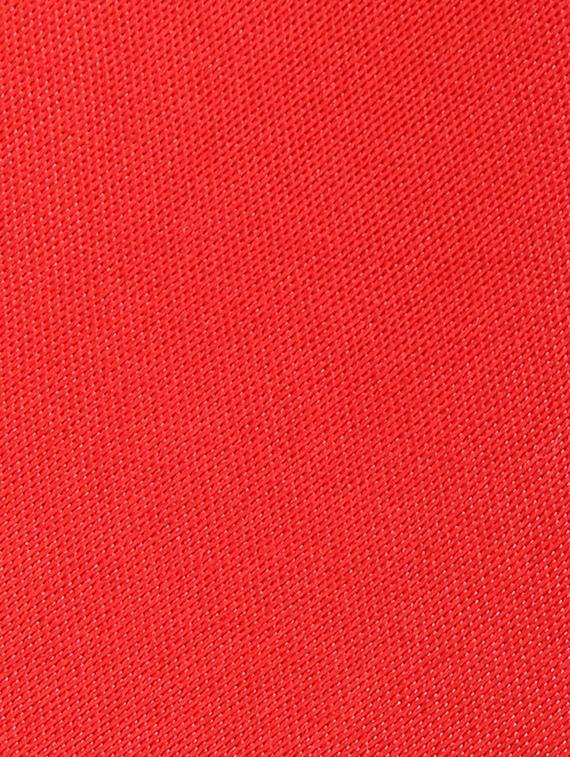 red null ty - 17752287 - Standard Image - 2