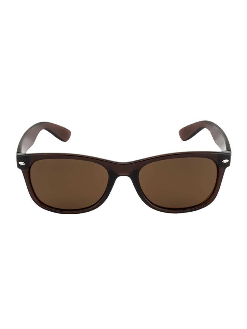 sailer by ted smith in brown frame with wayfarer brown lens sunglass - 17925485 -  Zoom Image - 0