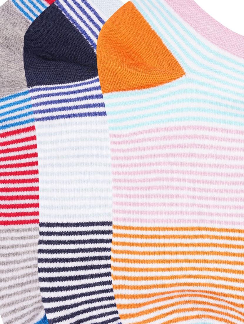 low ankle length colored stripes cotton socks (pack of 3) - 18054743 - Standard Image - 2