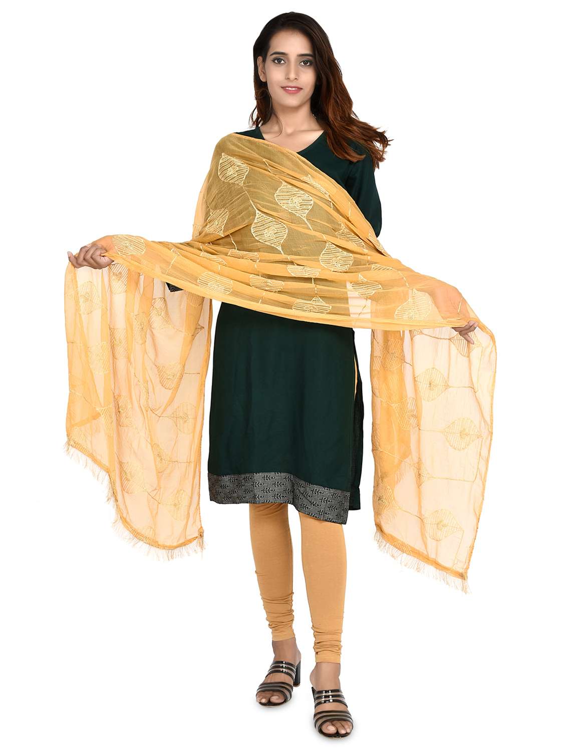 beige chiffon dupatta - 18324732 - Standard Image - 2