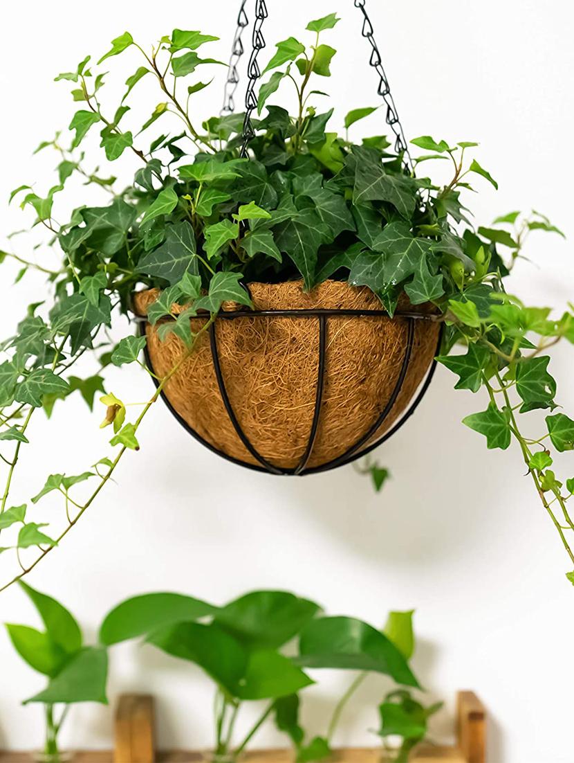 coirgarden-coir hanging basket flower pots-6 inch-coco gardening pots-pack 4 - 18345949 - Standard Image - 2