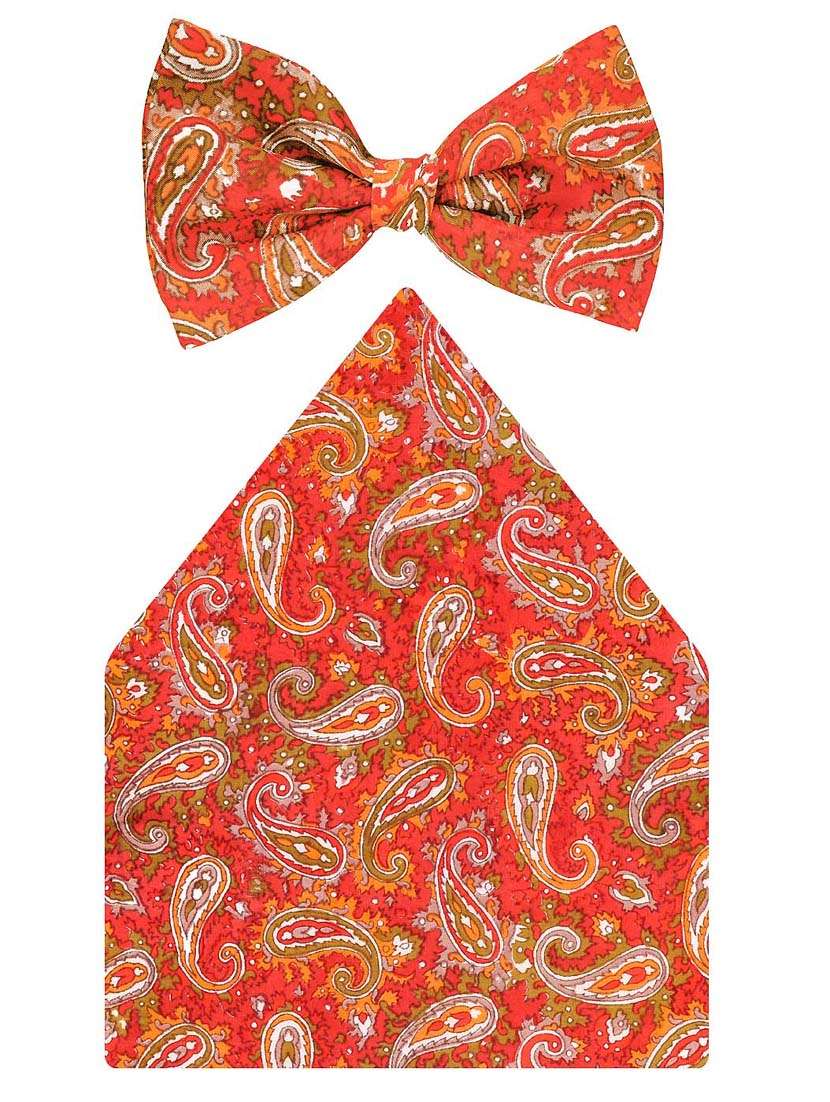 multi colored silk bow tie