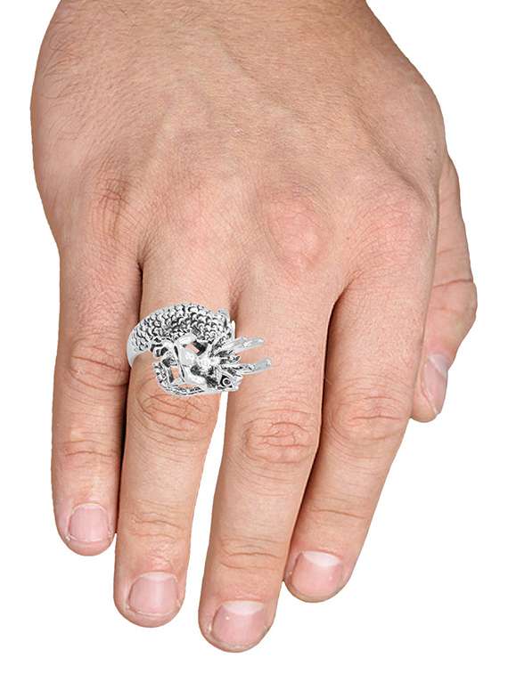 unisex finger ring  - 18573651 -  Standard Image - 2
