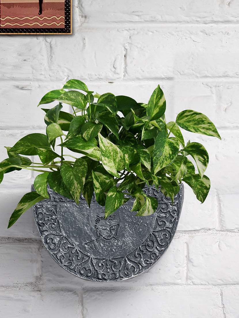 fiber u shape half circle grey and silver hanging wall pots for plants  ideal for home, garden, office