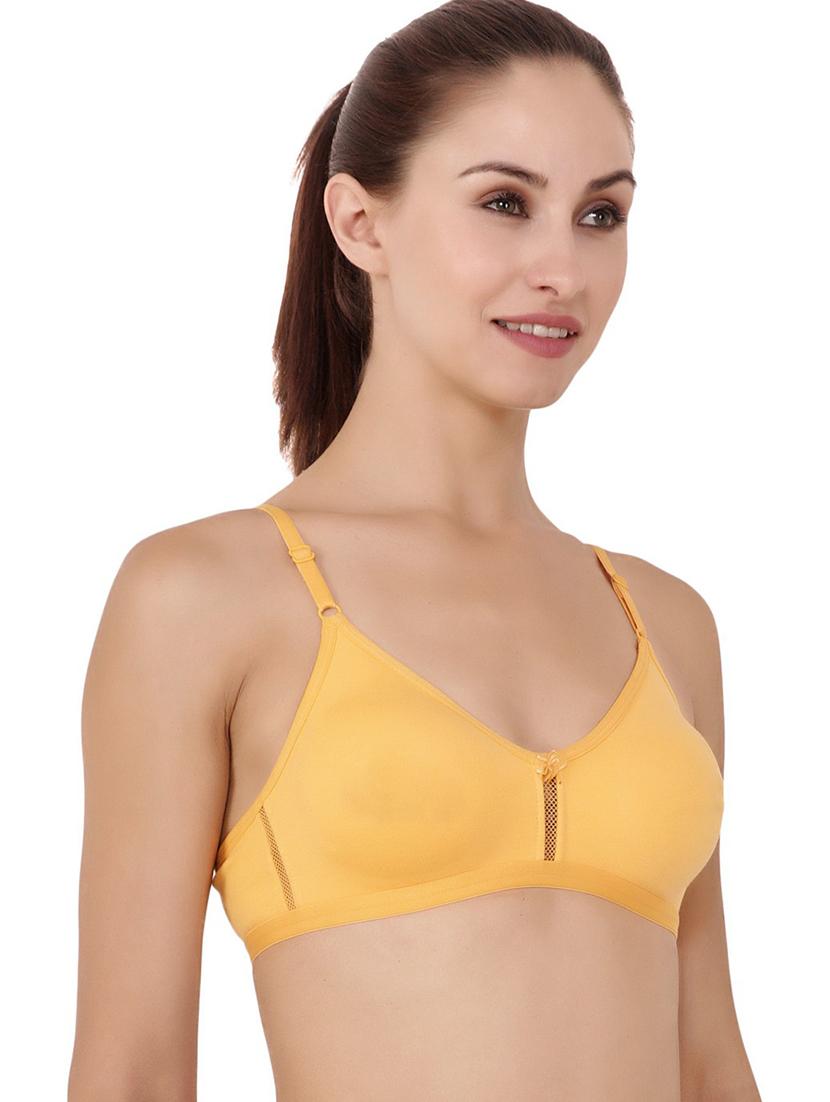 pack of 2 non padded regular bra - 18623685 - Standard Image - 2
