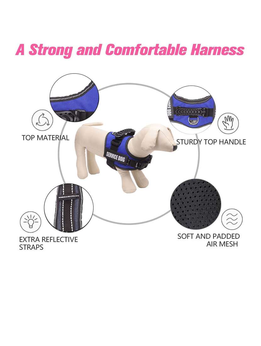 blue plastic harnes - 18692046 -  Standard Image - 2