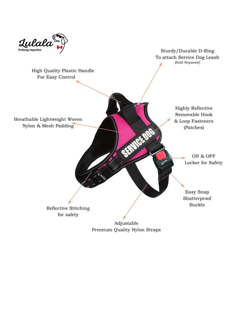 pink plastic harnes - 18692048 -  Standard Image - 2