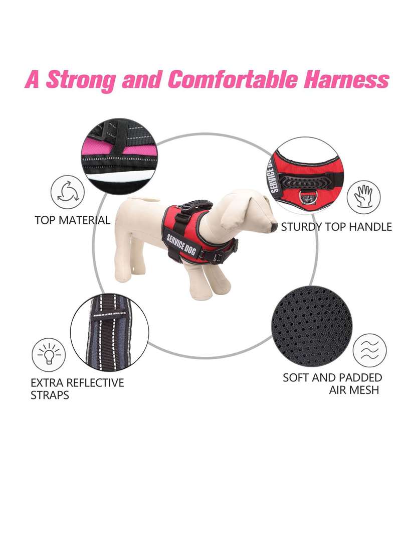 red plastic harnes - 18692049 -  Standard Image - 2