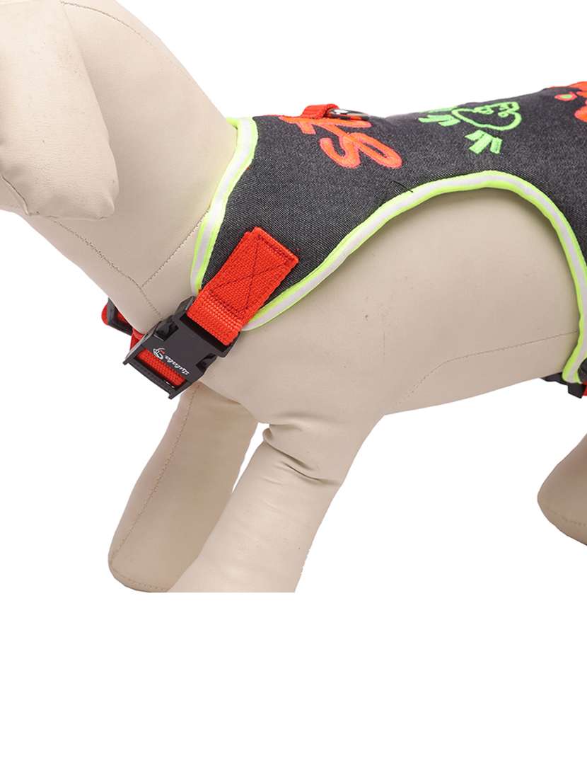 multi colored nylon harnes - 18692051 -  Standard Image - 2