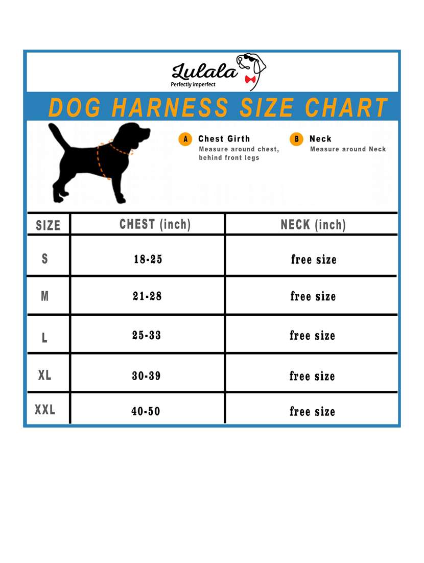 purple nylon harnes - 18692052 -  Standard Image - 2