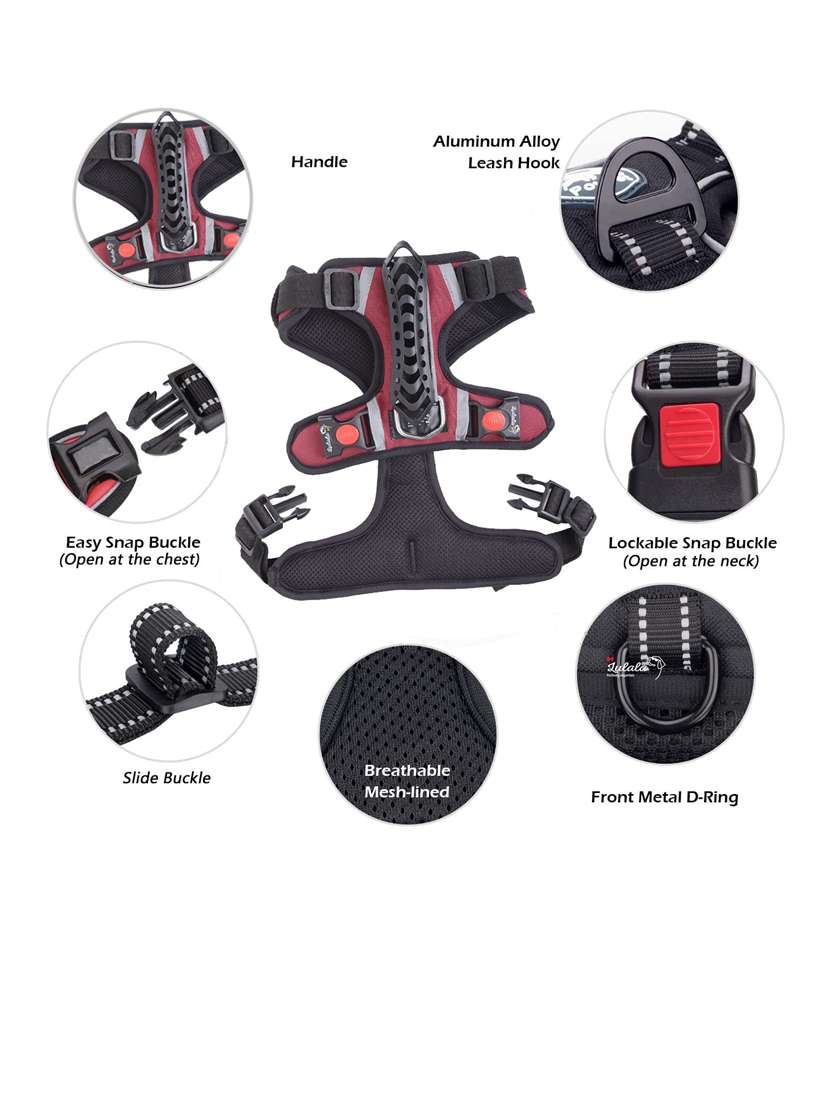 red nylon harnes - 18692059 -  Standard Image - 2