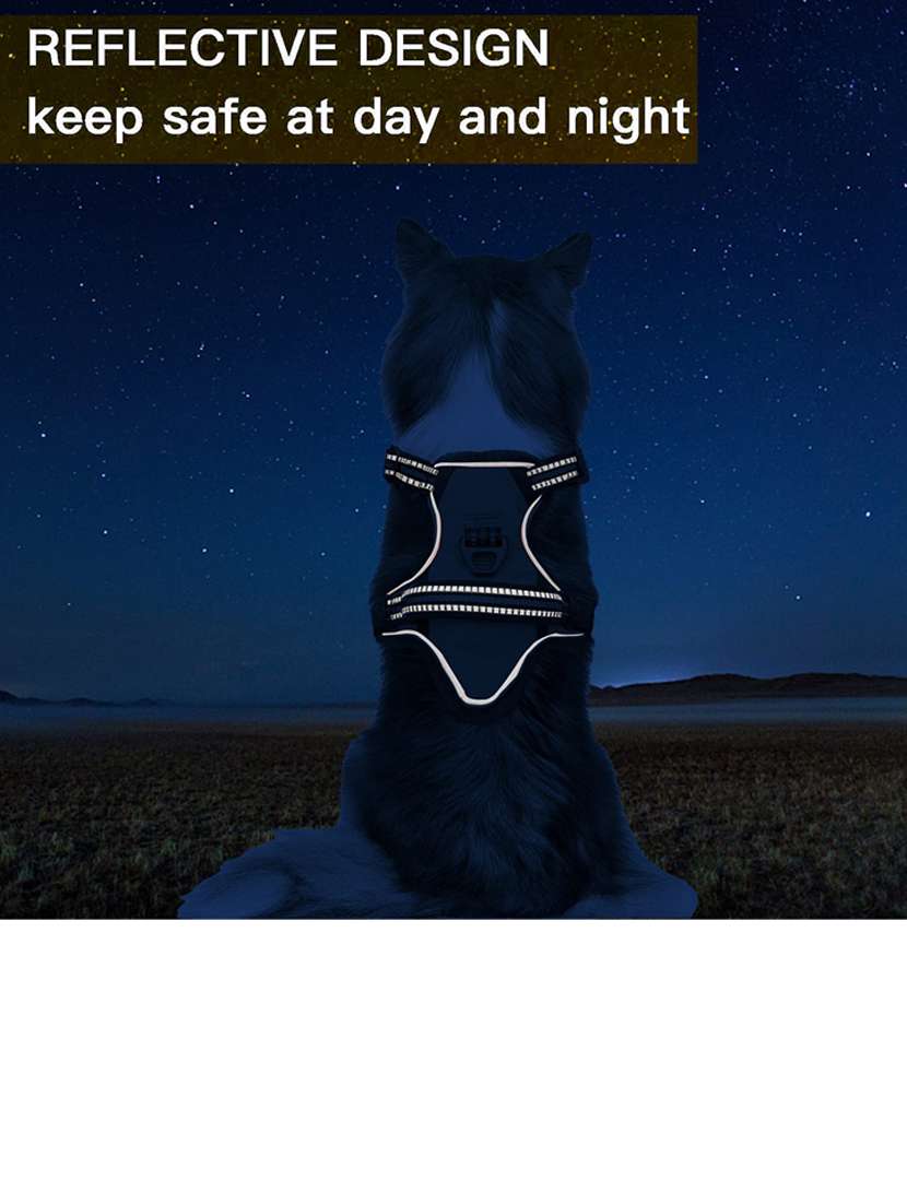 black cotton harnes - 18692062 -  Standard Image - 2