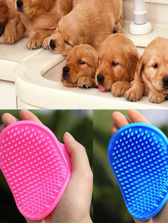 red silicone pet comb brush - 18696987 -  Standard Image - 2