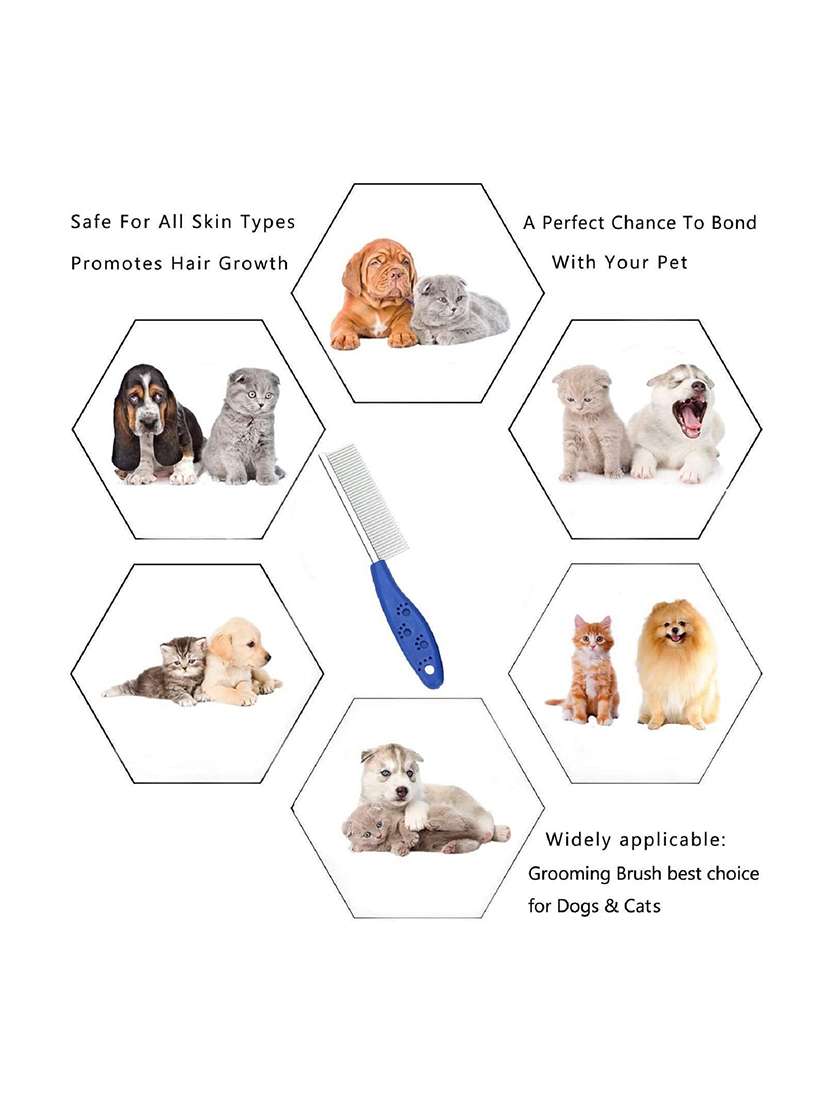 blue stainless steel pet comb brush - 18697115 -  Standard Image - 2