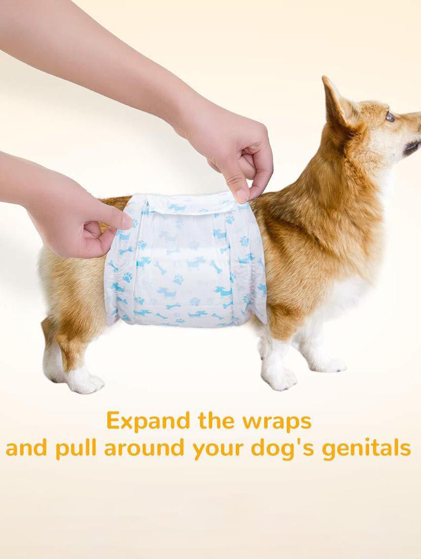 multi colored cotton. fiber washable pet diaper - 18697257 - Standard Image - 2