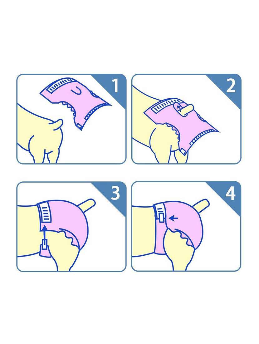 multi colored polypropylene disposable pet diaper - 18697285 -  Standard Image - 2