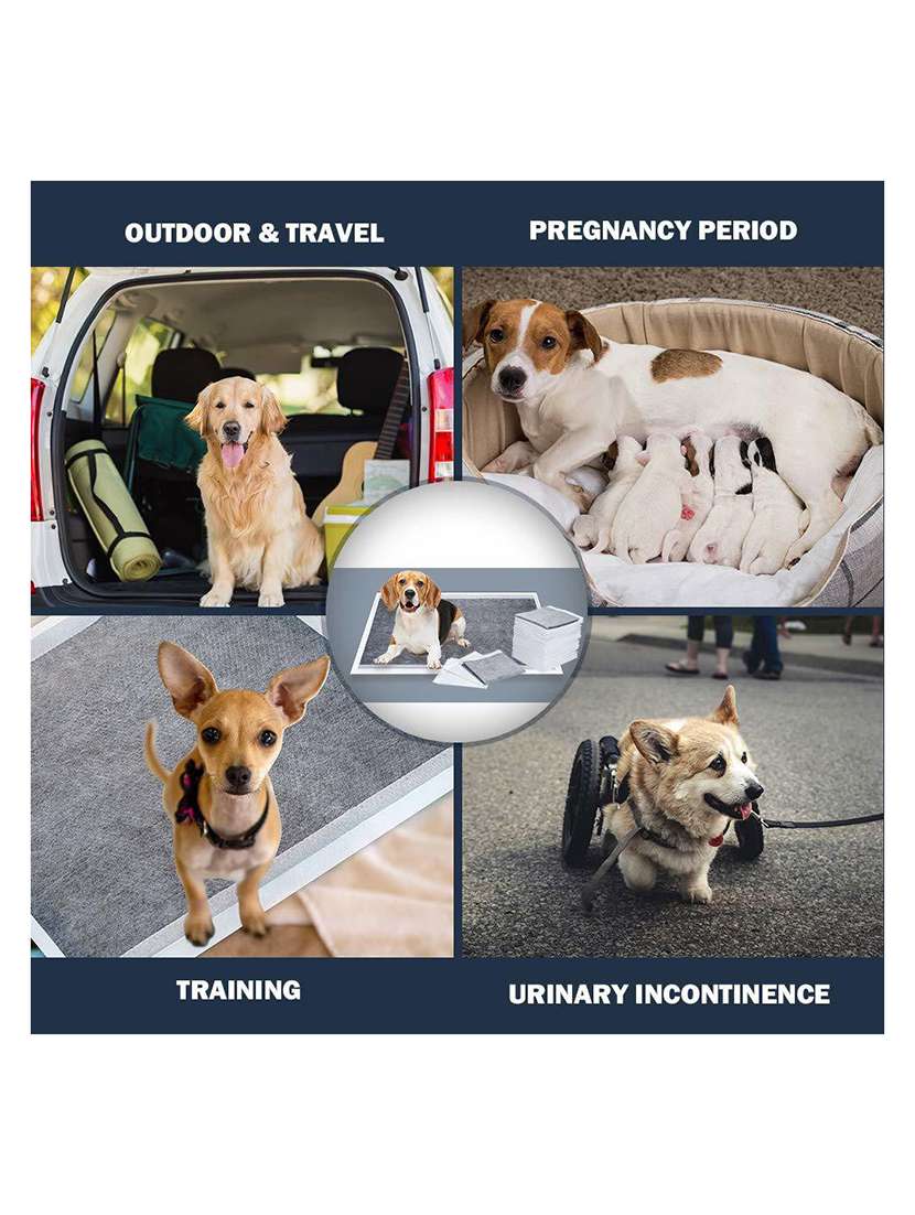 multi colored cotton. fiber disposable pet diaper - 18697313 -  Standard Image - 2