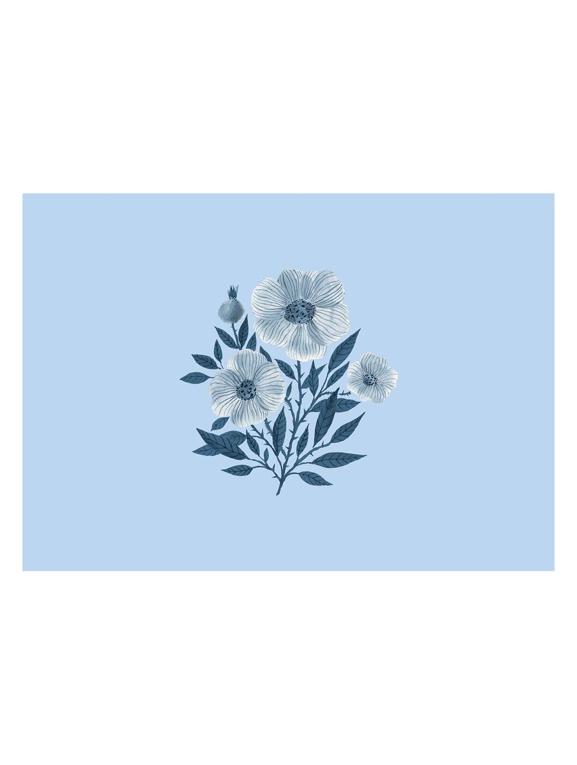 printed dohar for double bed - 18701716 -  Standard Image - 2