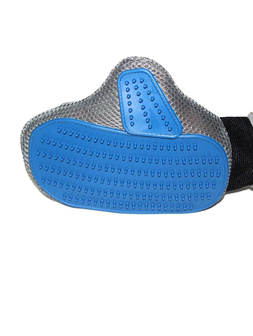 blue silicone pet comb brush - 18739909 -  Standard Image - 2