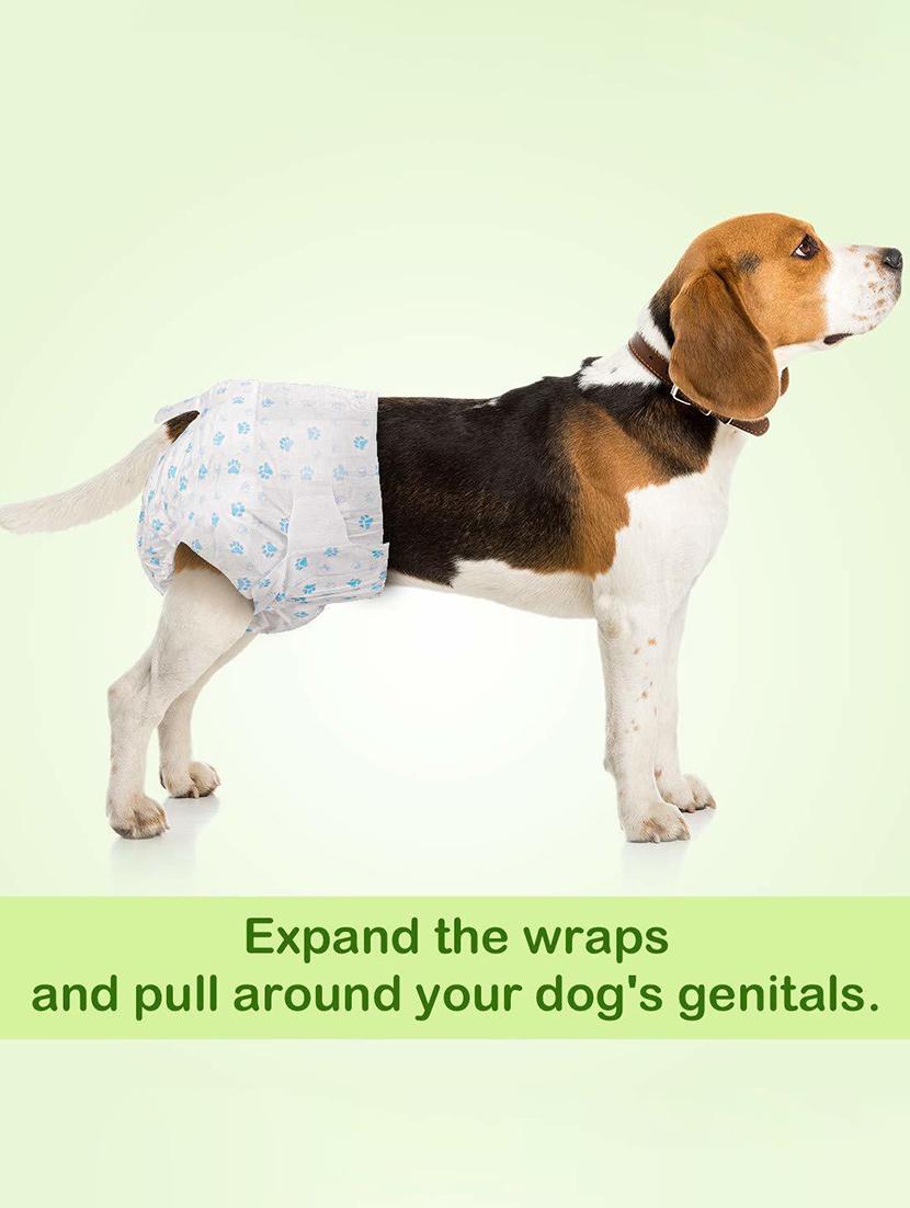 white polypropylene disposable pet diaper - 18748058 - Standard Image - 2