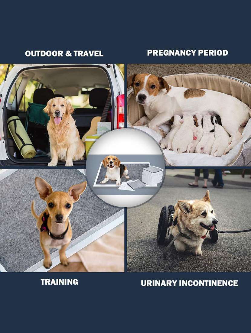 white cotton. fiber disposable pet diaper - 18748084 -  Standard Image - 2