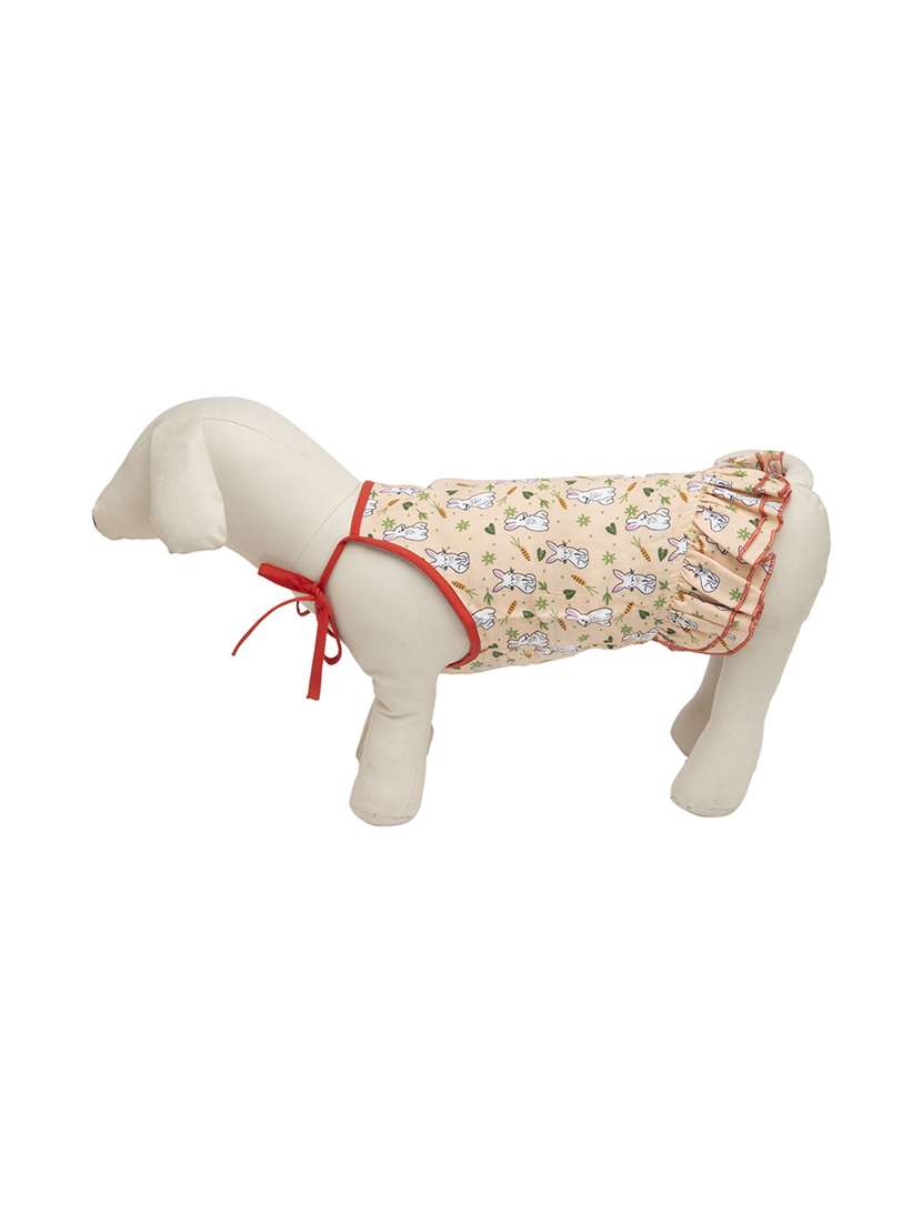 multi colored cotton blend pet apparel - 18764622 -  Standard Image - 2