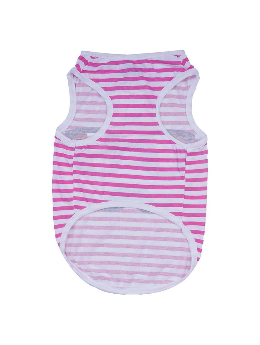 multi colored cotton pet apparel - 18764736 - Standard Image - 2