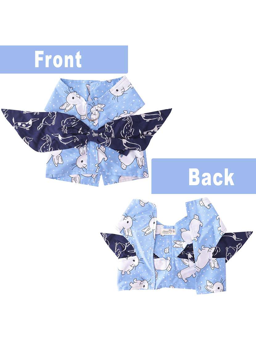 multi colored cotton pet apparel - 18764880 -  Standard Image - 2