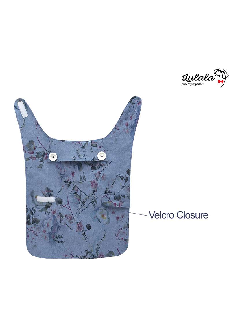 multi colored cotton blend pet apparel - 18764926 -  Standard Image - 2