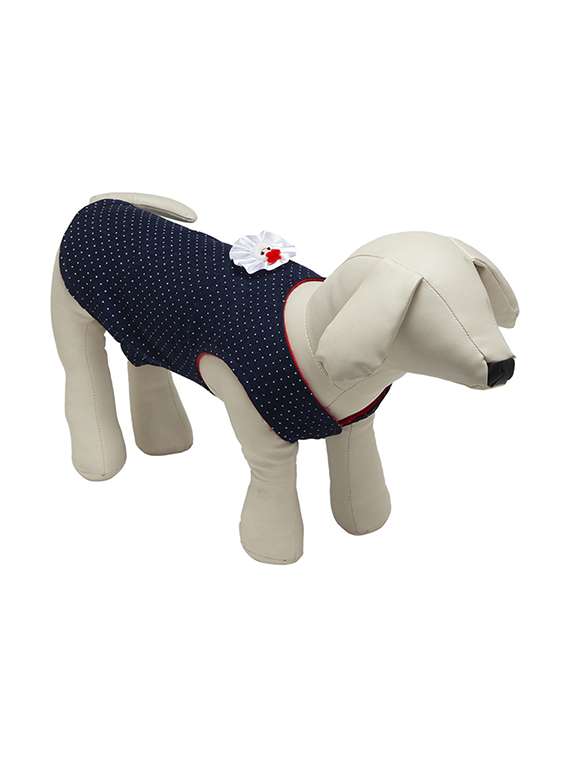 multi colored cotton blend pet apparel - 18765024 -  Standard Image - 2