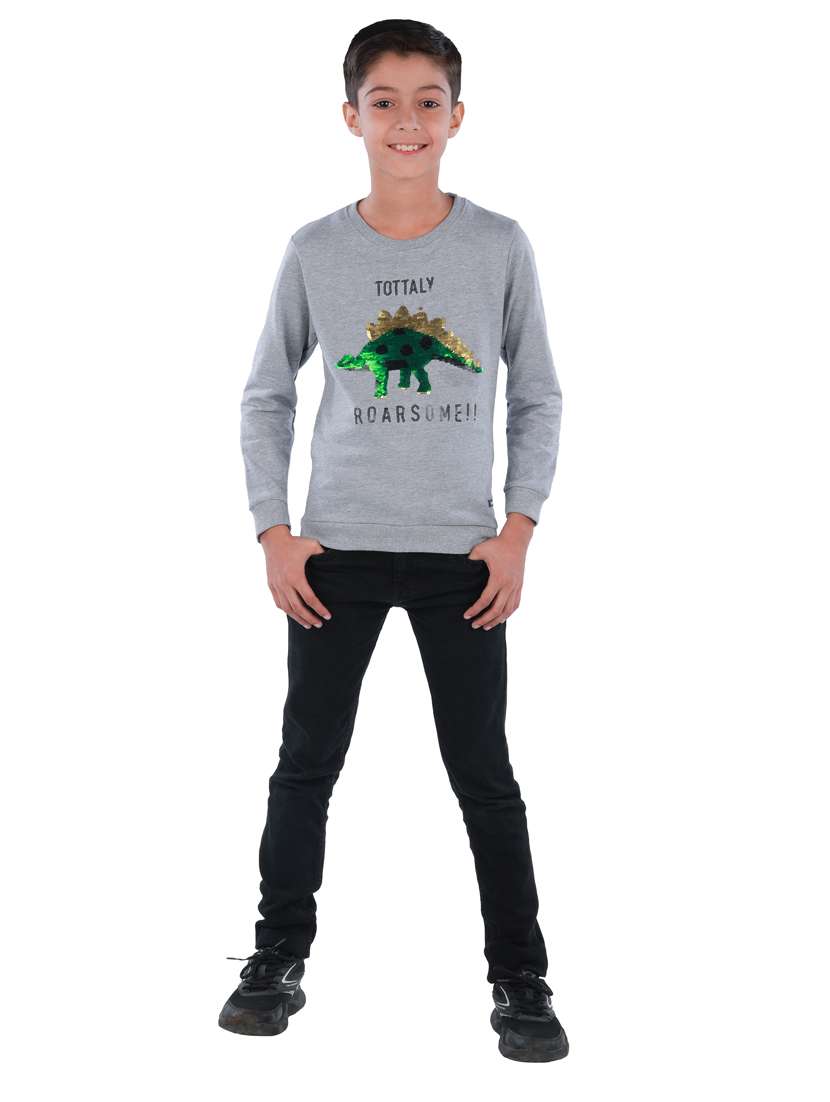 boys graphic sweatshirt - 18878054 -  Standard Image - 2