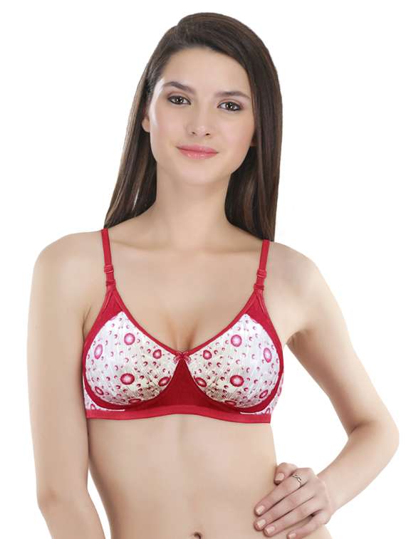 red cotton bras and panty set - 18941330 -  Standard Image - 2