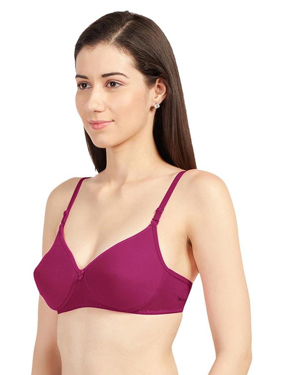 pack of 2 solid regular bra - 19139345 - Standard Image - 2