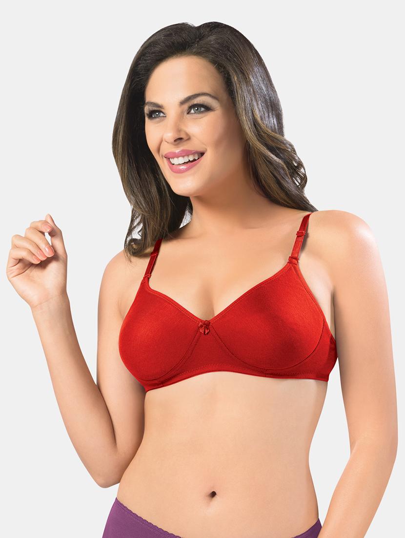 set of 2 solids t-shirt bras - 19139418 - Standard Image - 2
