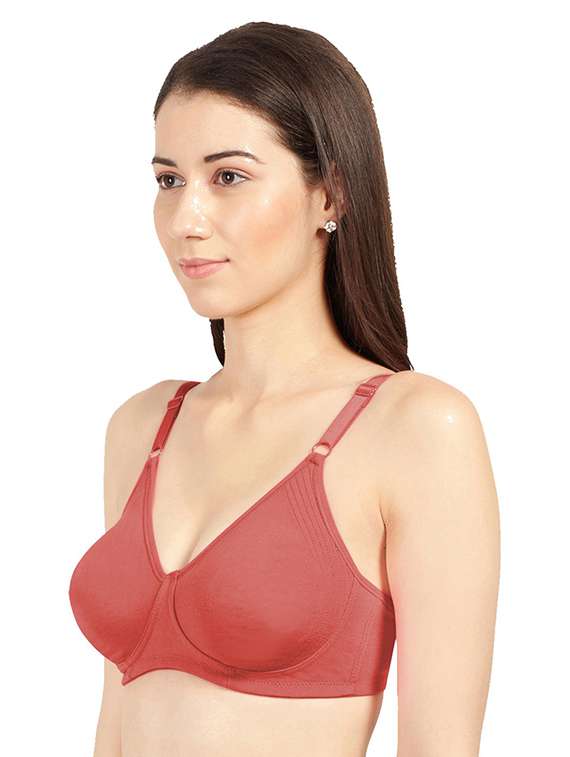 pack of 2 solid regular bra  - 19141028 -  Standard Image - 2