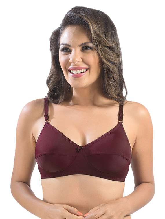 pack of 2 solid regular bra  - 19141525 -  Standard Image - 2