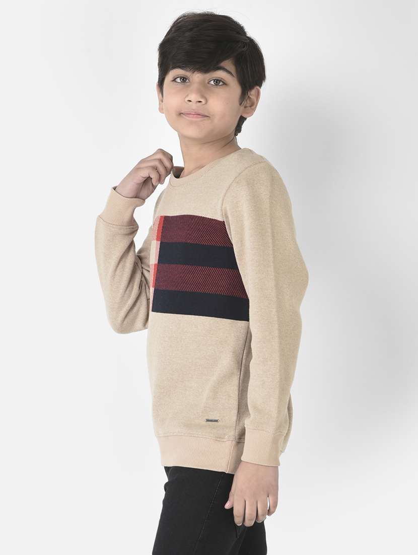 boys checks sweatshirt - 19164653 -  Standard Image - 2