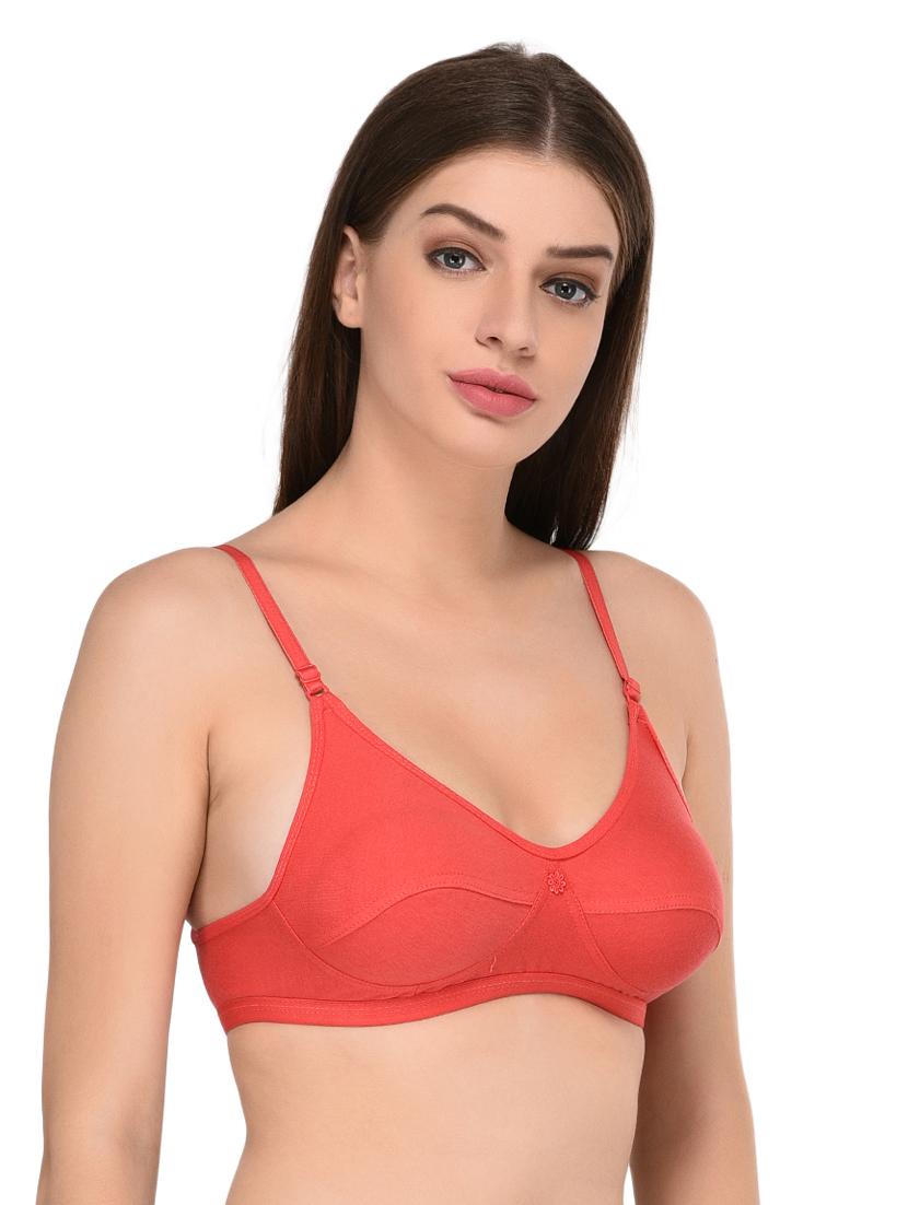 pack of 2 non padded t-shirt bra - 19172276 - Standard Image - 2
