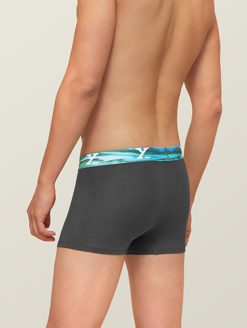 grey solid trunks - 19411245 - Standard Image - 2