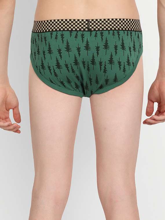 pack of 2 hipster brief - 19496876 -  Standard Image - 2