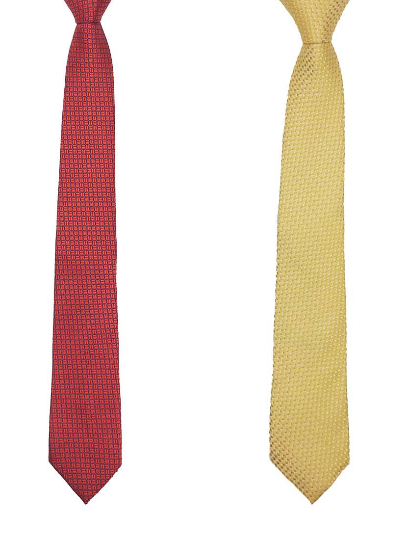 men's pack of 2 necktie - 19617252 -  Standard Image - 2