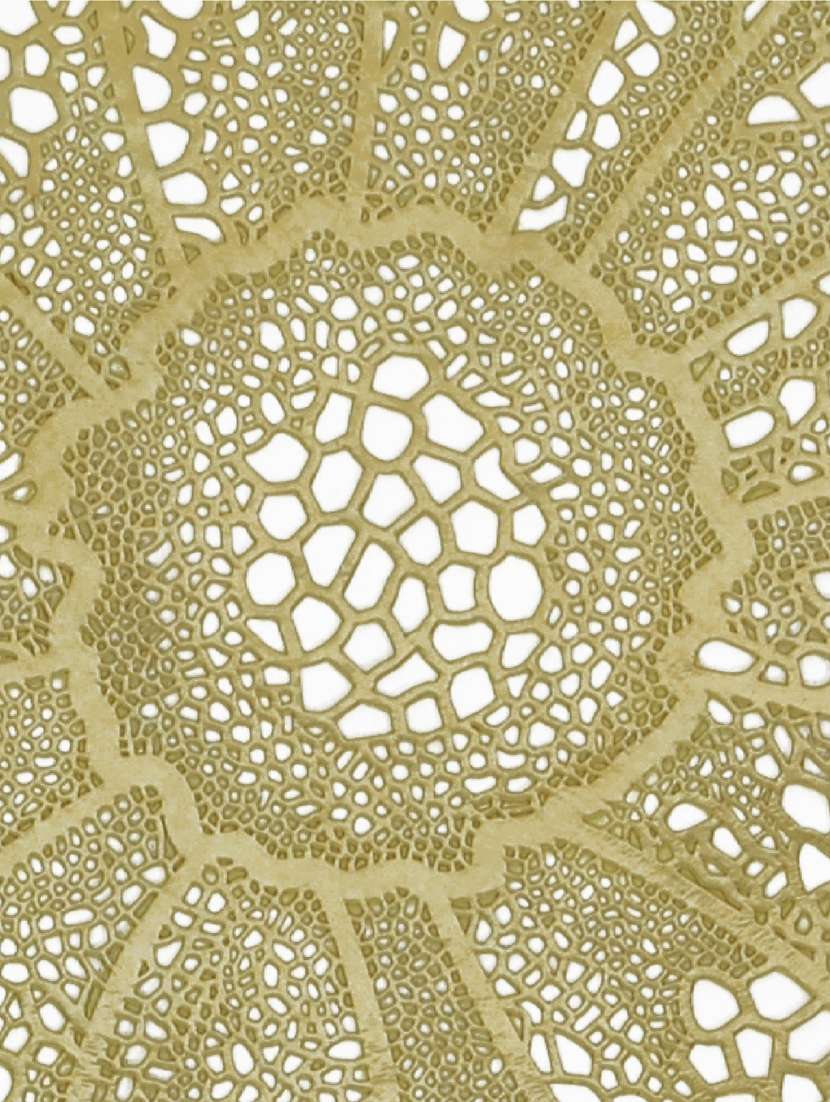 winner round shape table placemats - 19695215 -  Standard Image - 2