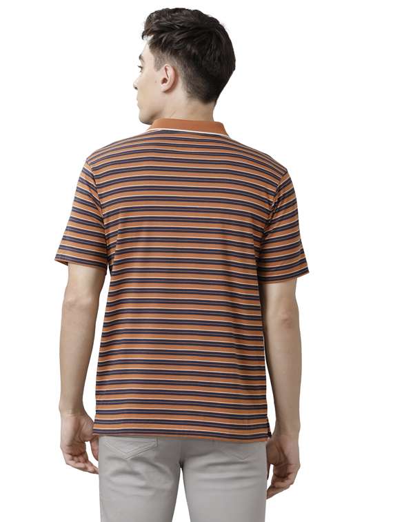 striped polo t-shirt - 19723204 -  Standard Image - 2