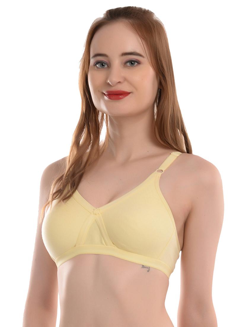 pack of 2 regular bra - 20021944 - Standard Image - 2