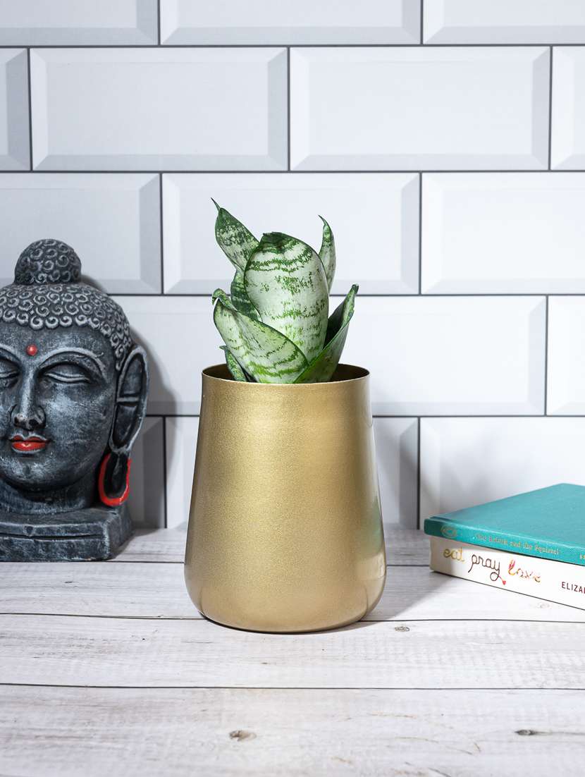 gold blossom planter