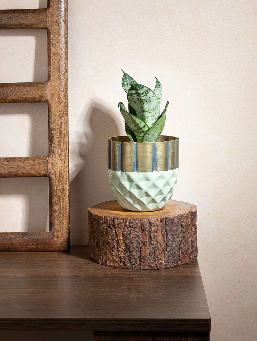 hexagonal harmony planter
