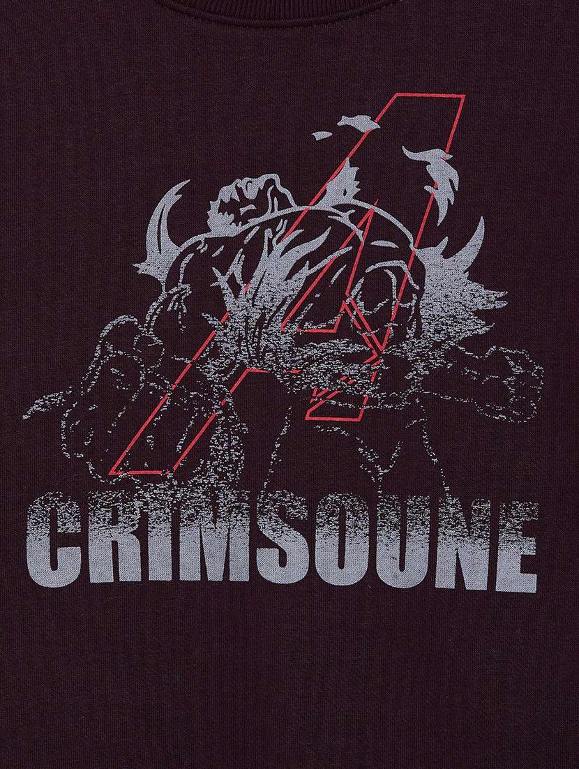 boys burgundy graphic print cotton blend sweatshirt - 20298334 -  Standard Image - 2