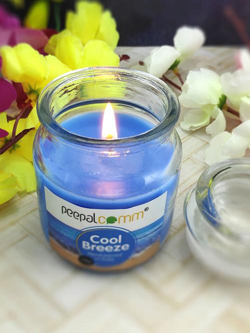 peepalcomm scented wax jar candles set - 20386395 -  Standard Image - 0
